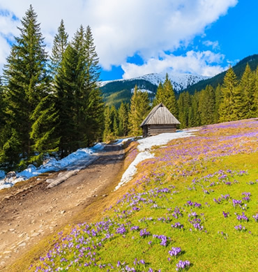 HOTEL ZAKOPANE promocja wiosenna